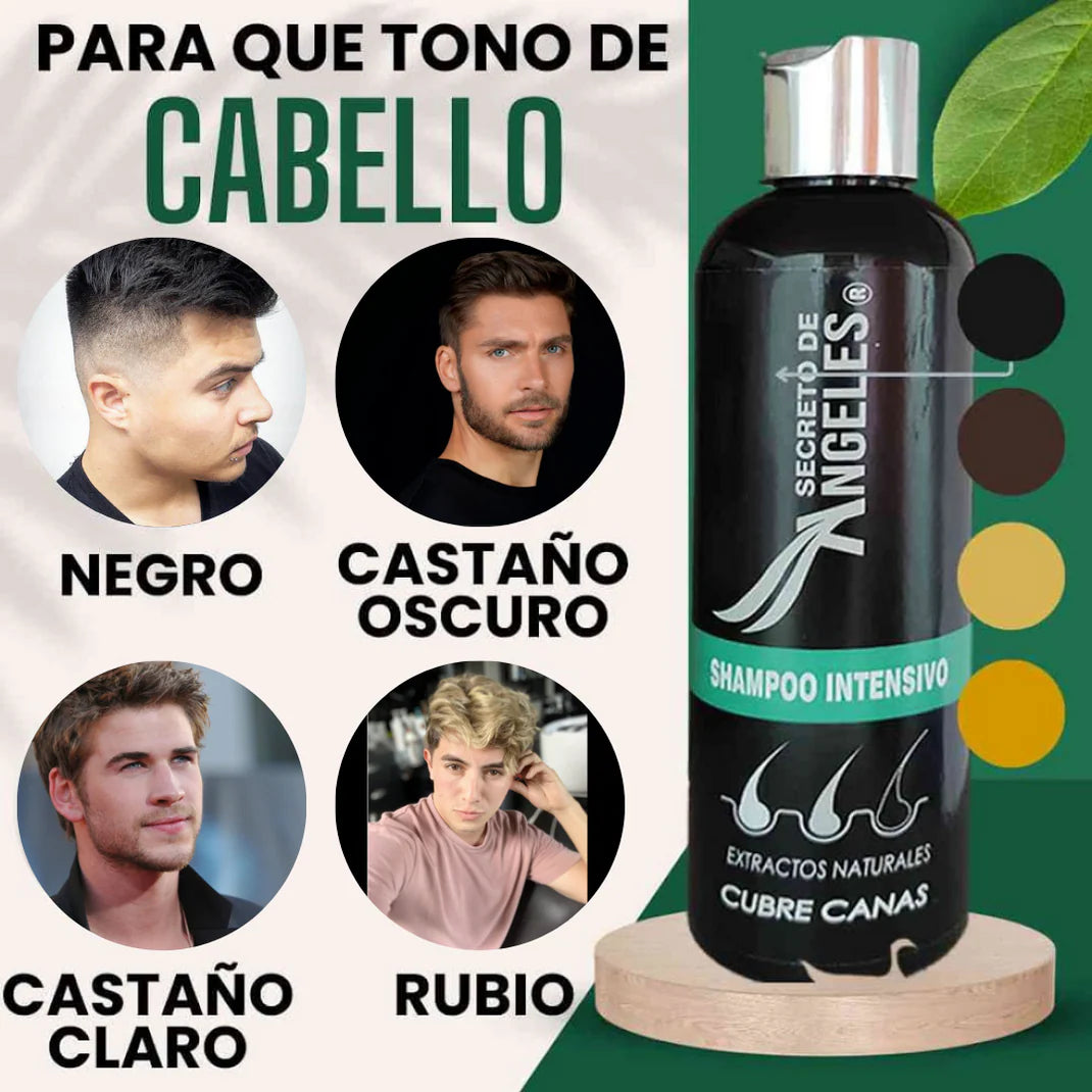 🌟 ¡Canas nunca más! Llévate 1 Shampoo Secretox y recibe 2 de obsequio