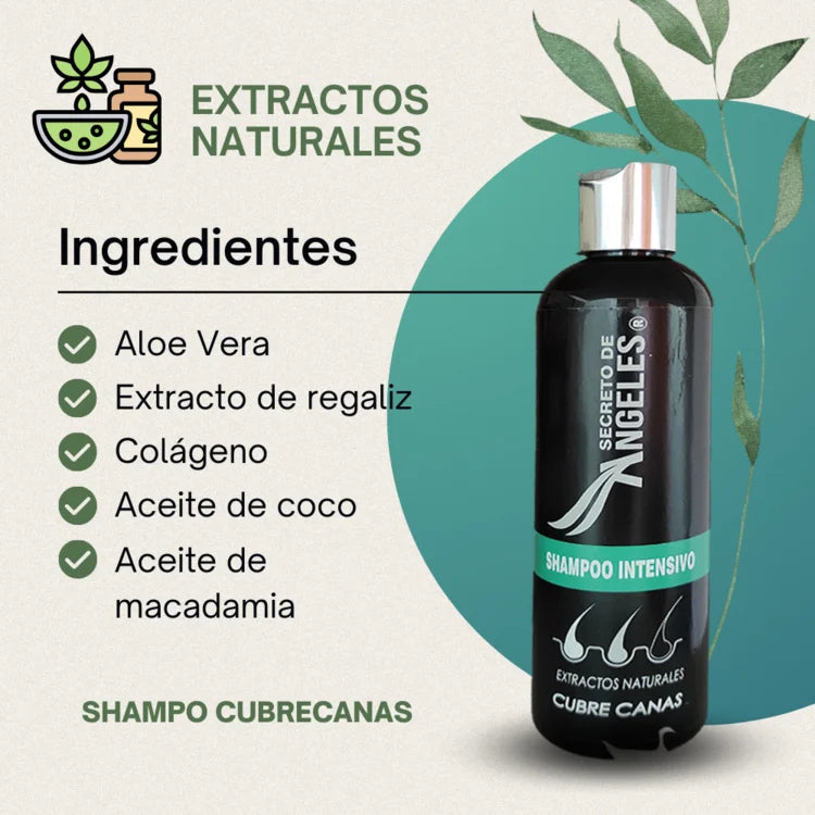🌟 ¡Canas nunca más! Llévate 1 Shampoo Secretox y recibe 2 de obsequio