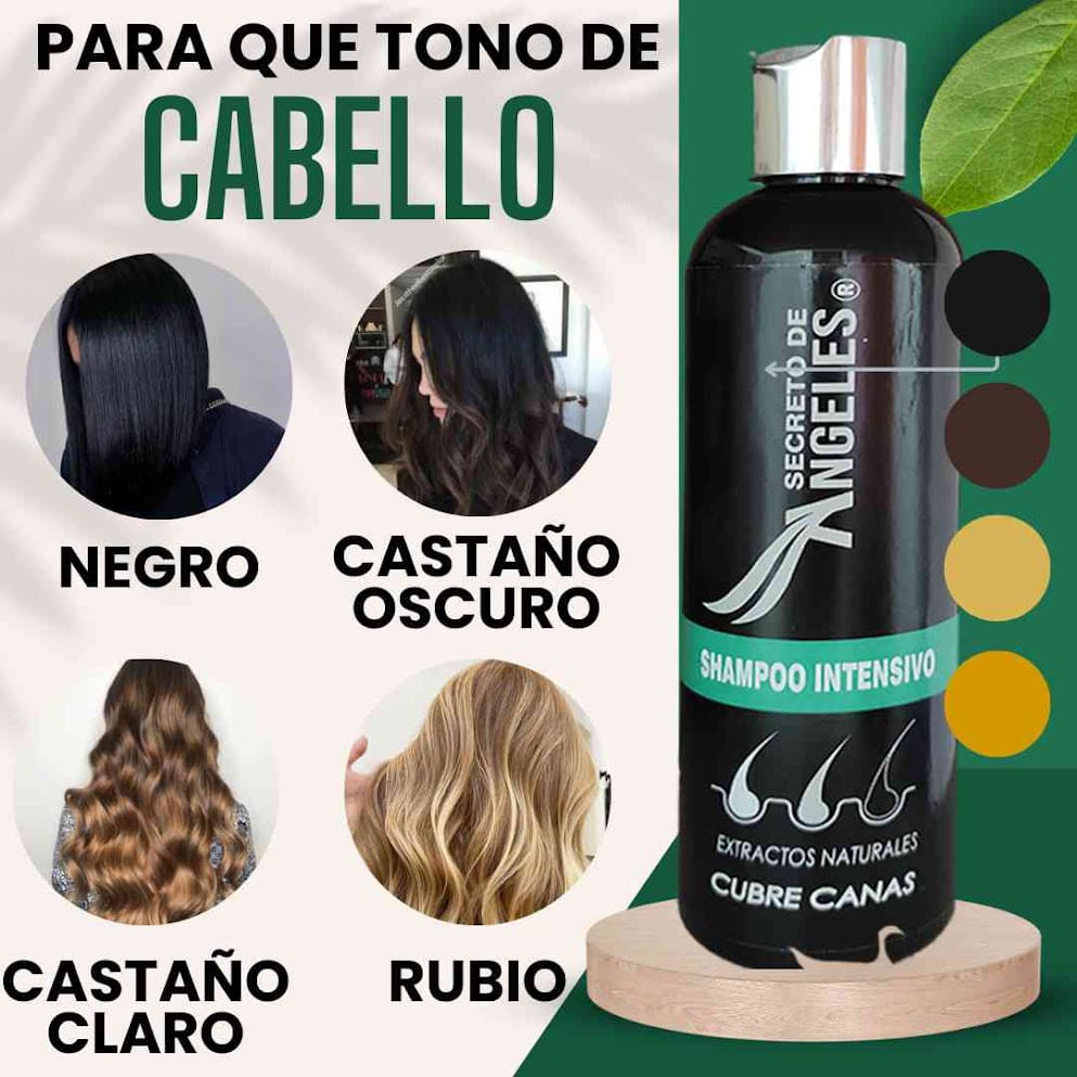 🌟 ¡Canas nunca más! Llévate 1 Shampoo Secretox y recibe 2 de obsequio
